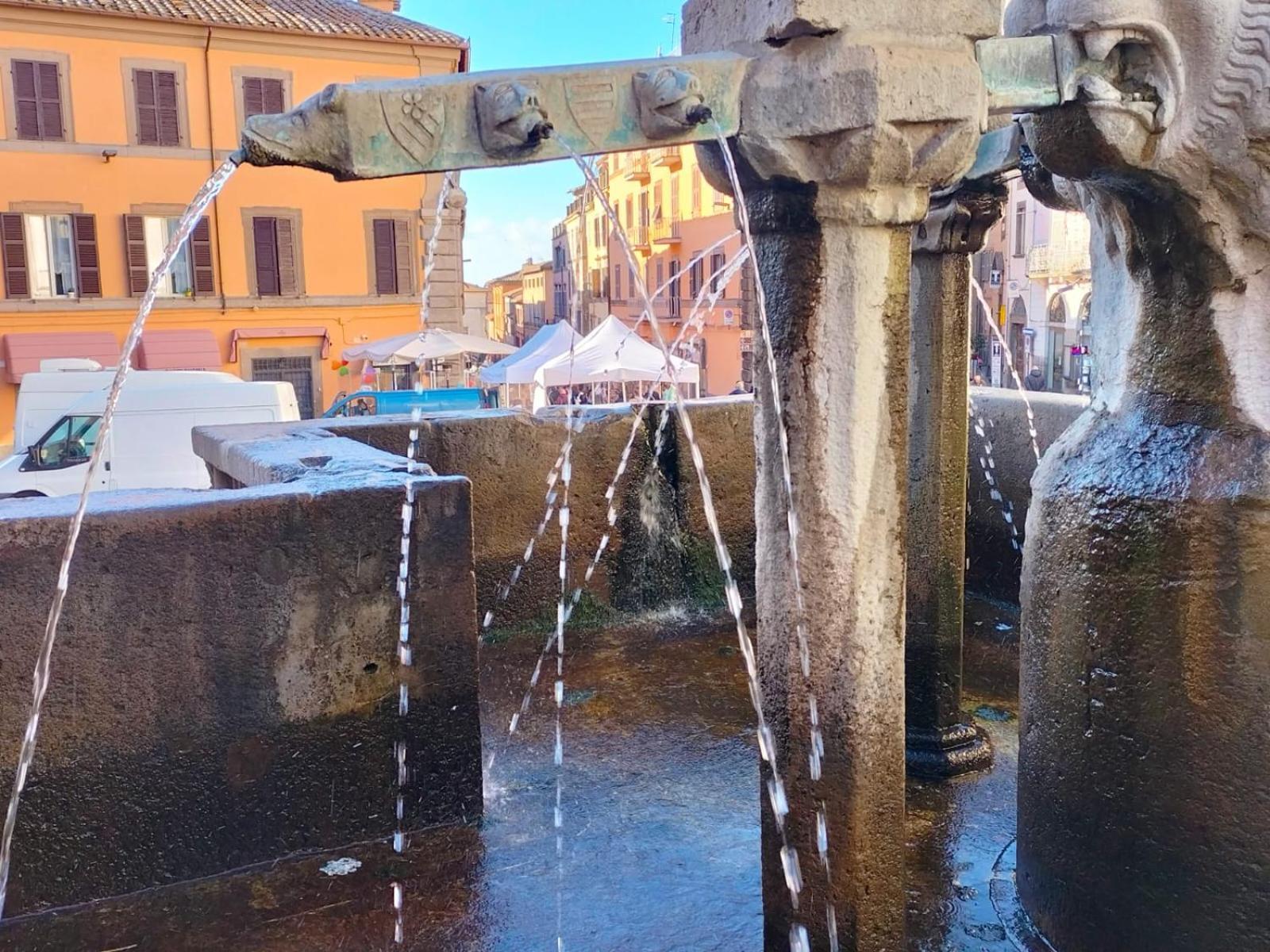 Residenza Del Sepale Lägenhet Viterbo Exteriör bild